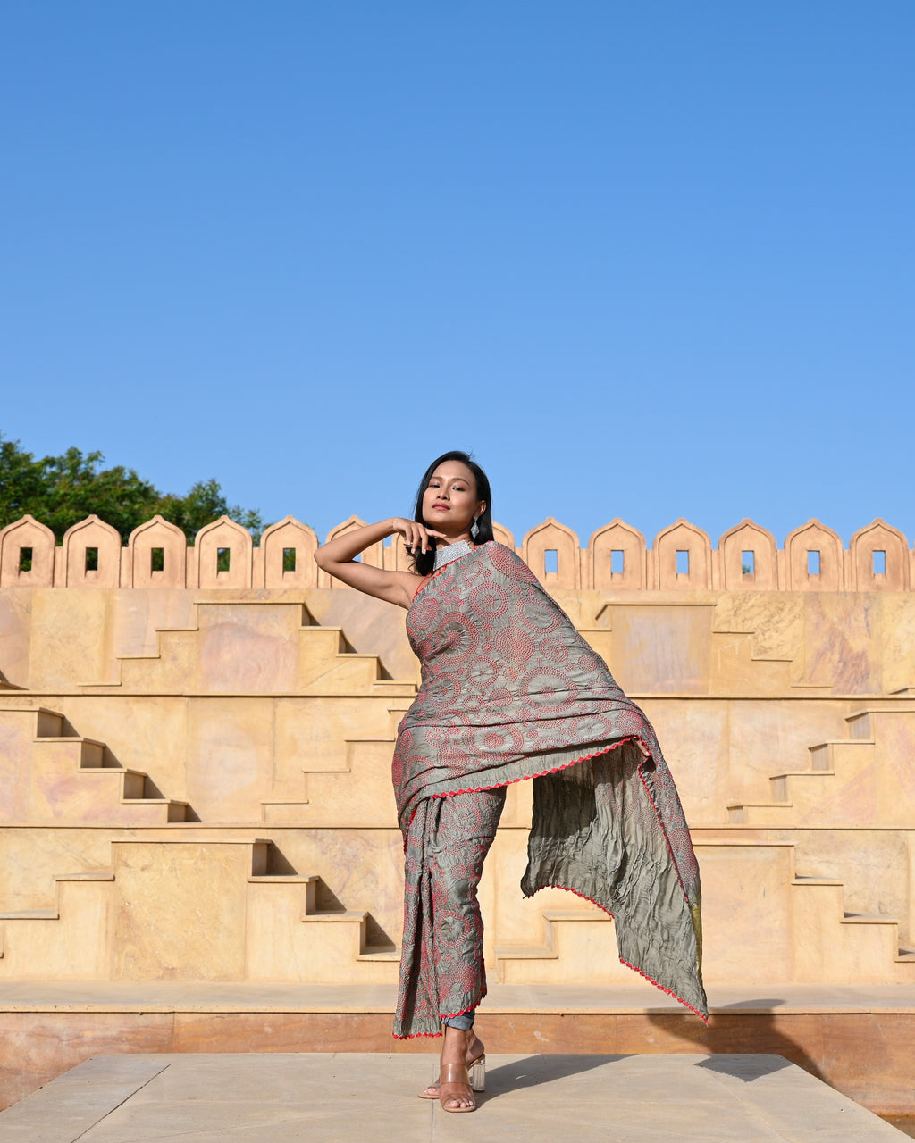 GREY CIRCLES OF LIFE BANDHANI SILK SAREE