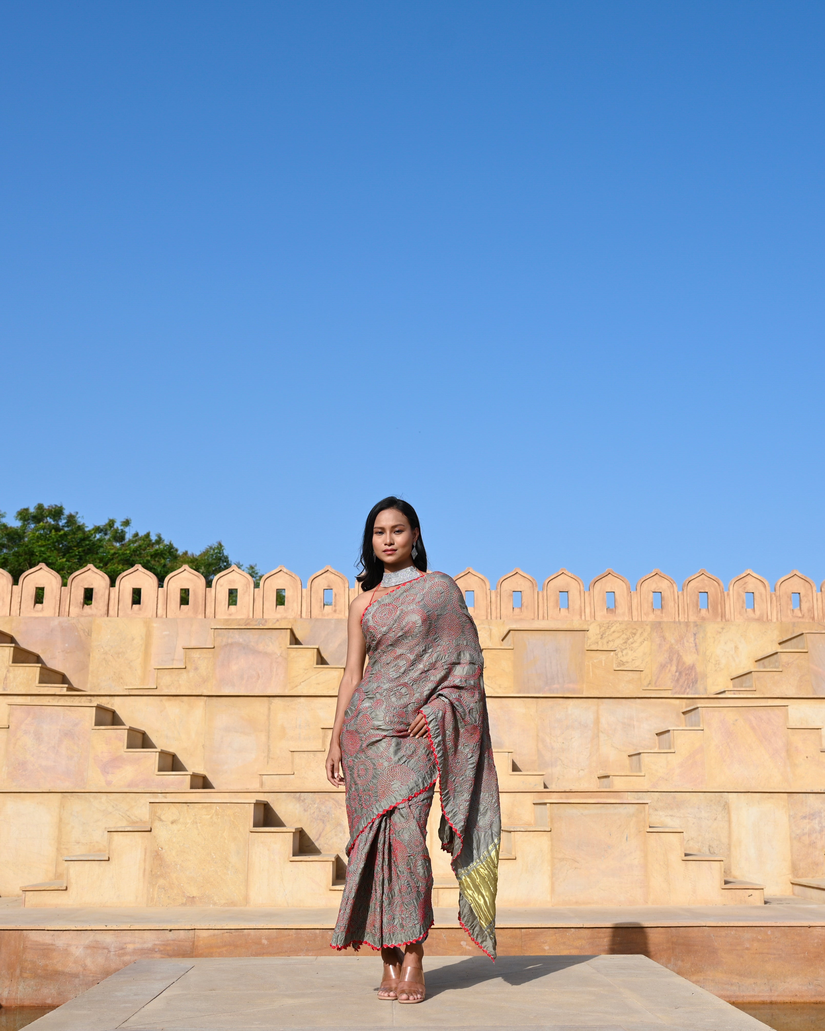 GREY CIRCLES OF LIFE BANDHANI SILK SAREE