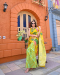 YELLOW-GREEN BAARADOZI PATCHWORK REVERSIBLE SILK SAREE